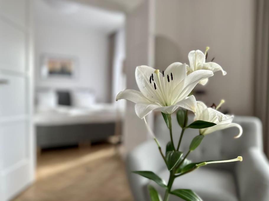 Premium Apartment By Hi - Central 2 Bedroom - Best View 布达佩斯 外观 照片